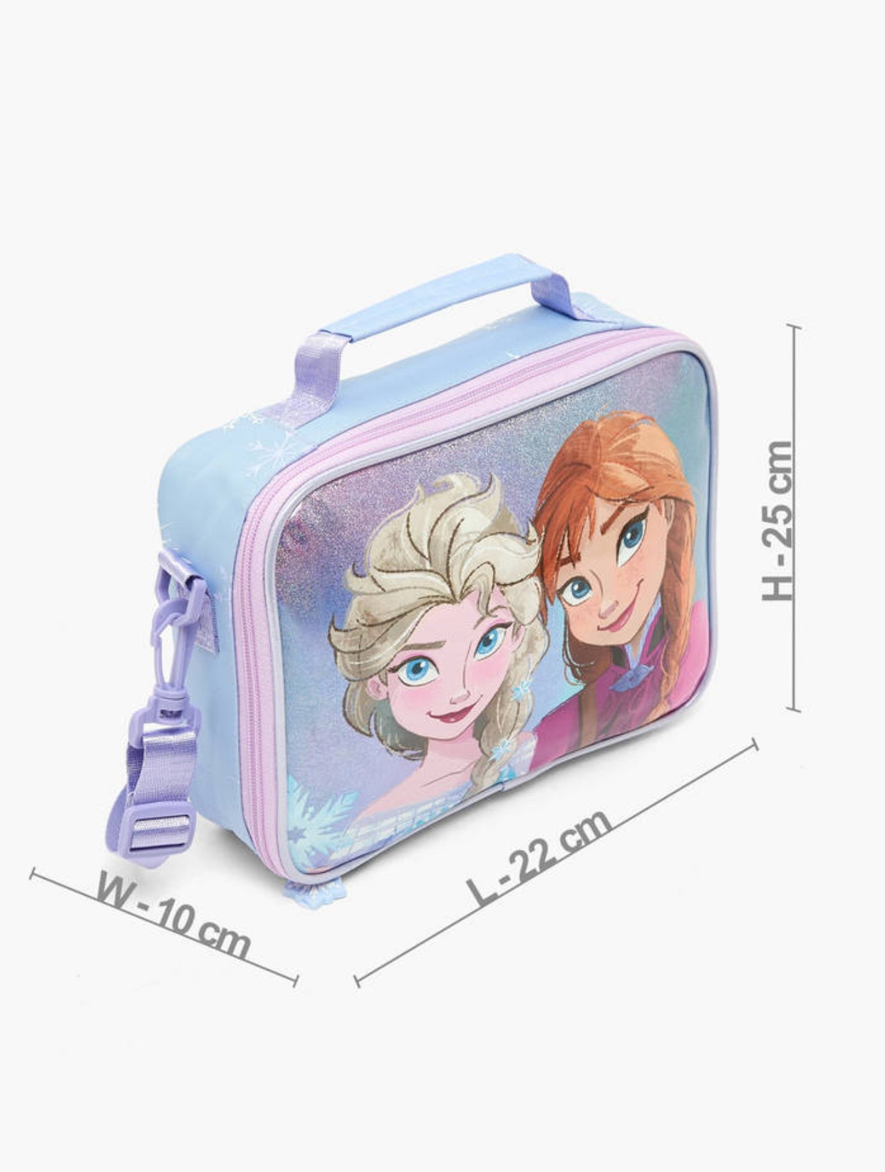 Frozen Lunch Bag