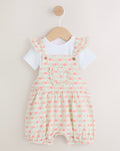 Pink Check Baby Dungarees and
Bodysuits Set 2 Piece