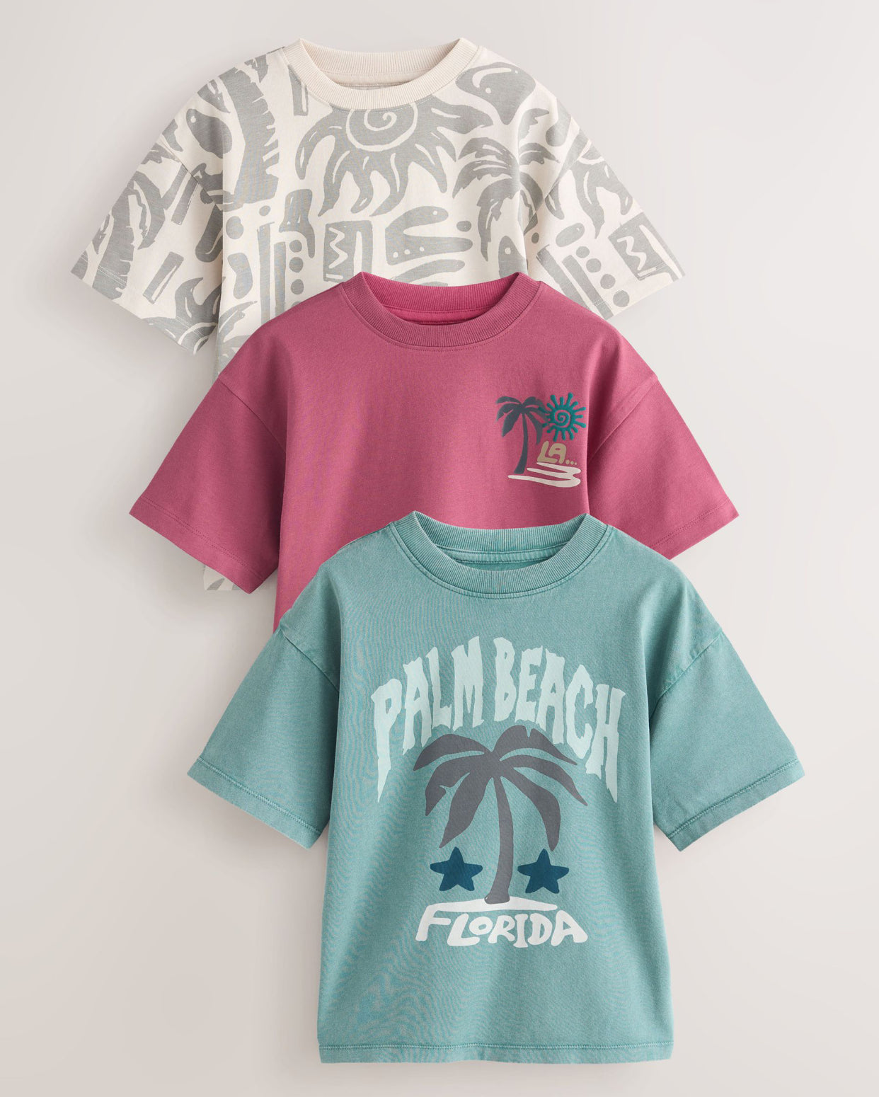 Berry/Mineral/Ecru Relaxed Fit Graphic 
Print Short Sleeve T-Shirts 3 Pack