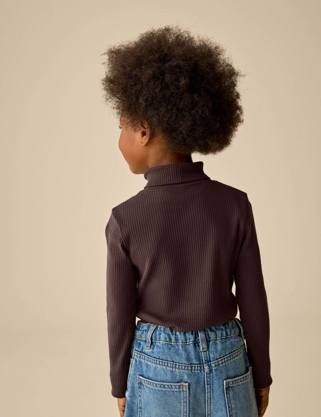 Chocolate Brown Long Sleeve Roll Neck Rib Top