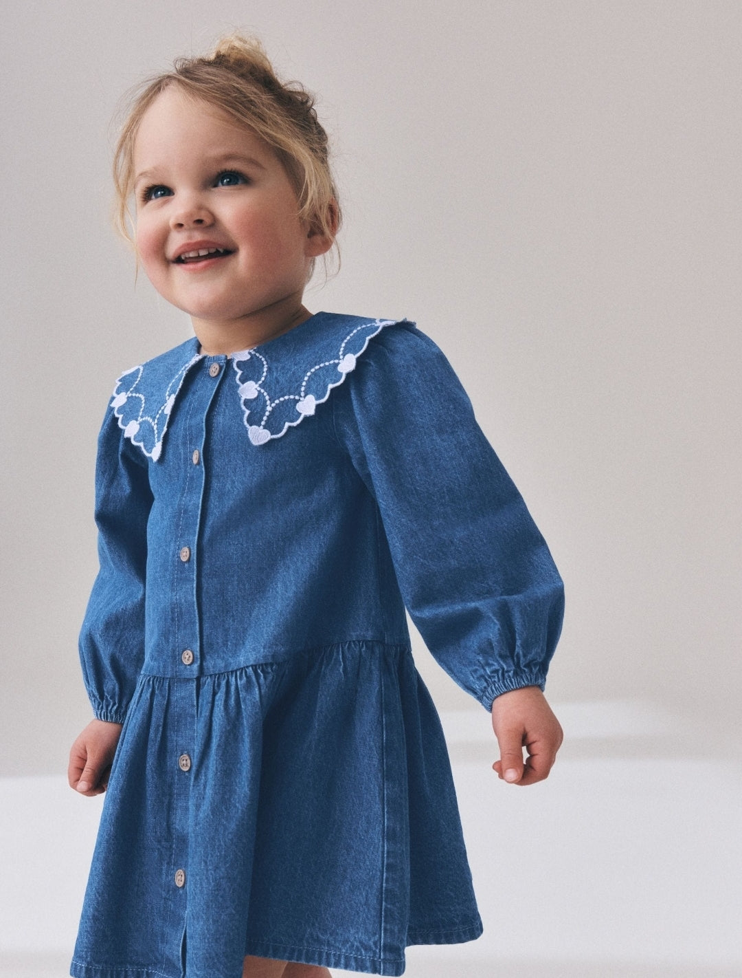 Blue Denim Long Sleeve
Embroidered Collar Dress