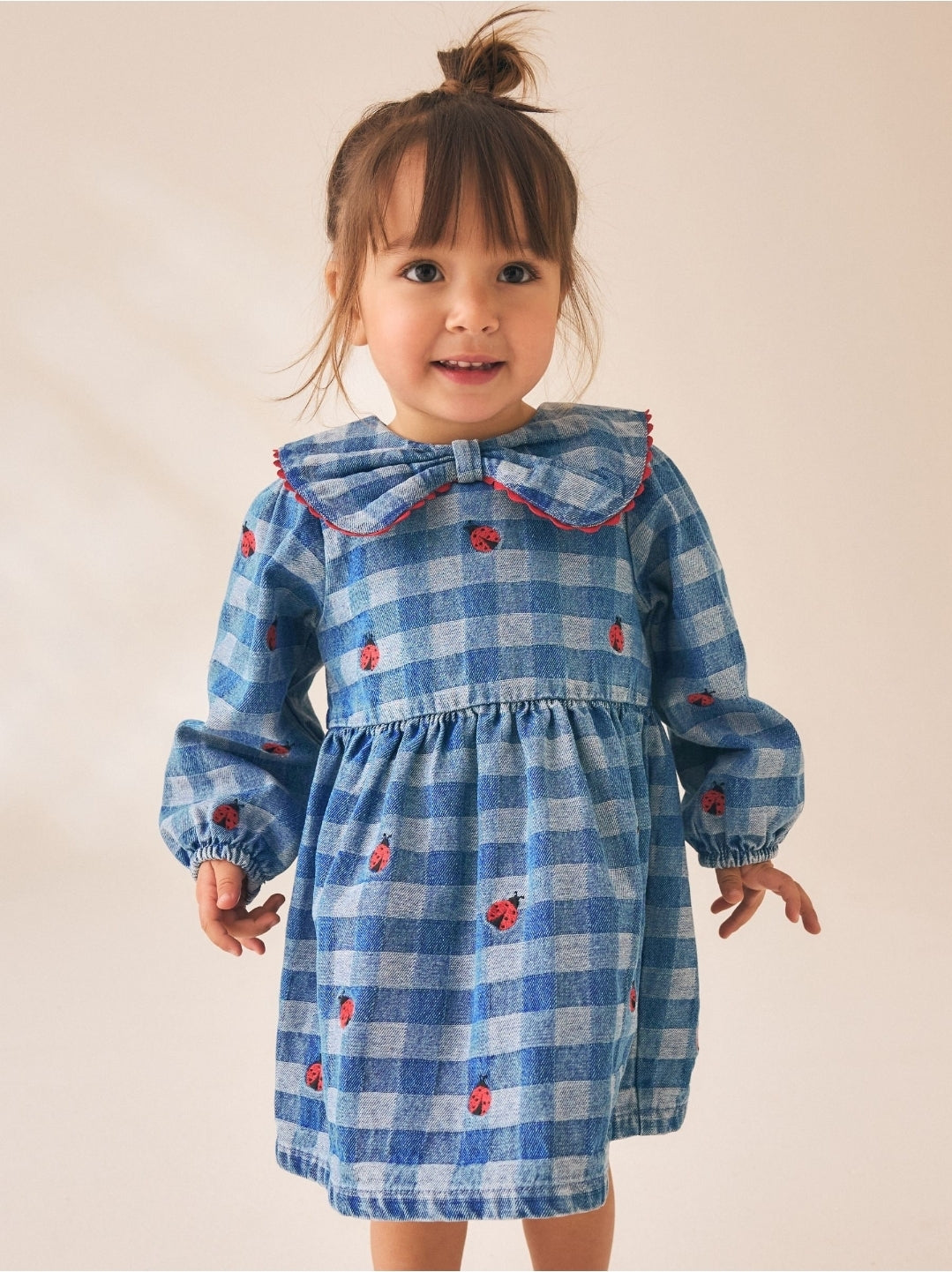 Blue Denim Check Long Sleeve Collar Embroidered Ladybird