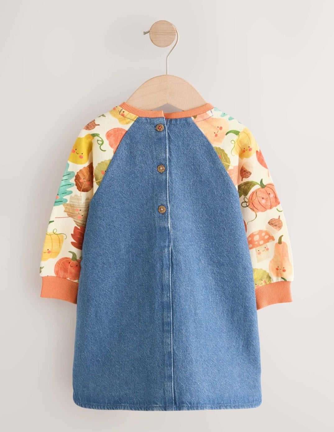 Pumpkin Print Raglan Denim Dress