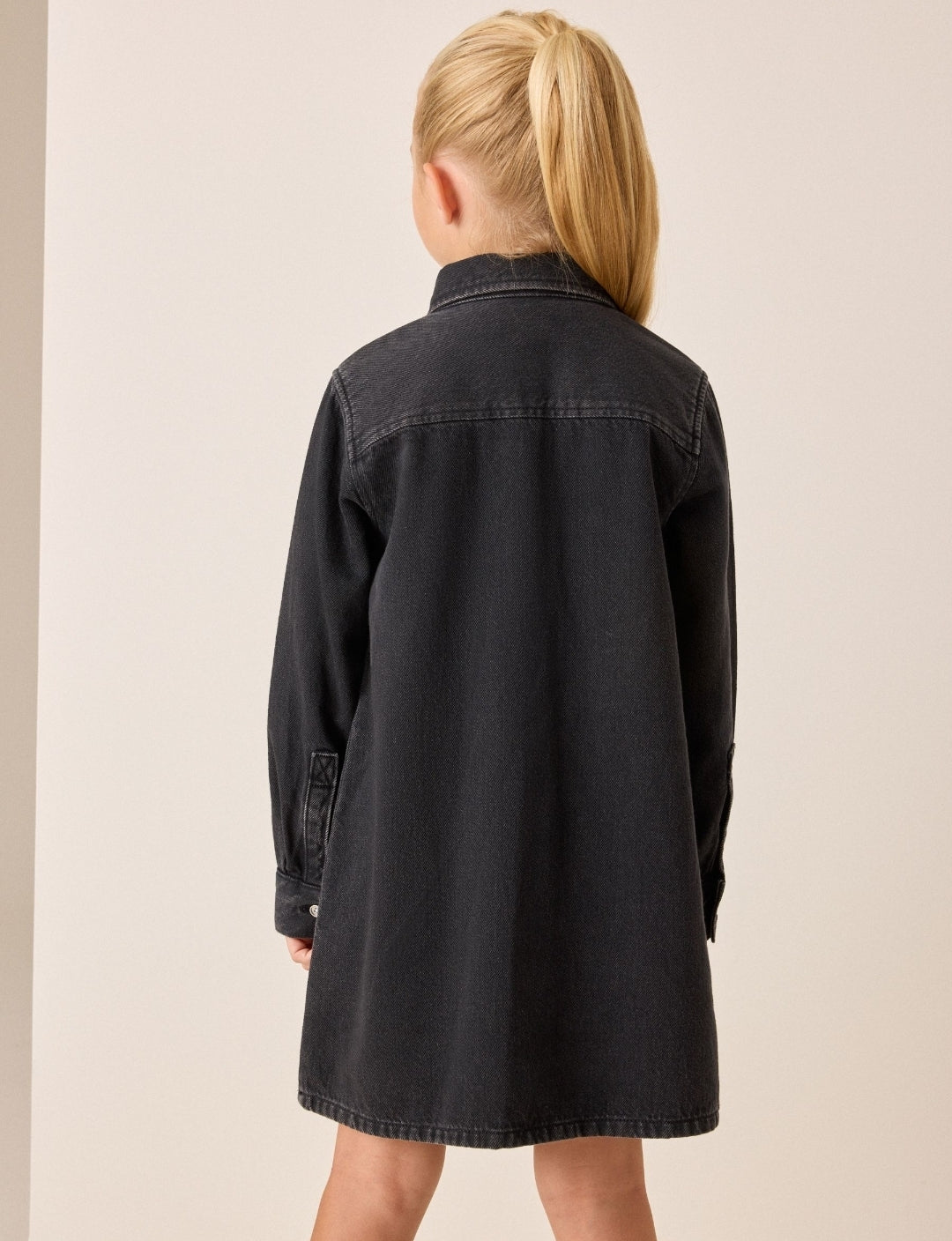 Black Denim Shirt Dress
