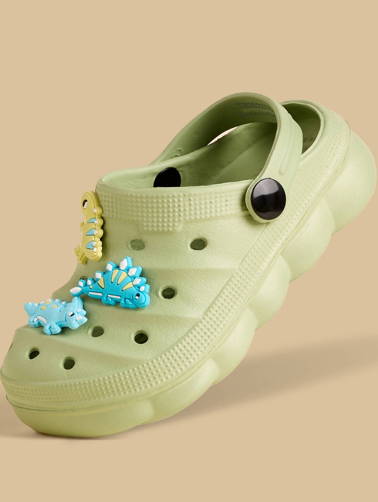 Dinosaur Jibbitz Charm Clogs