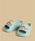 Paw patrol slides