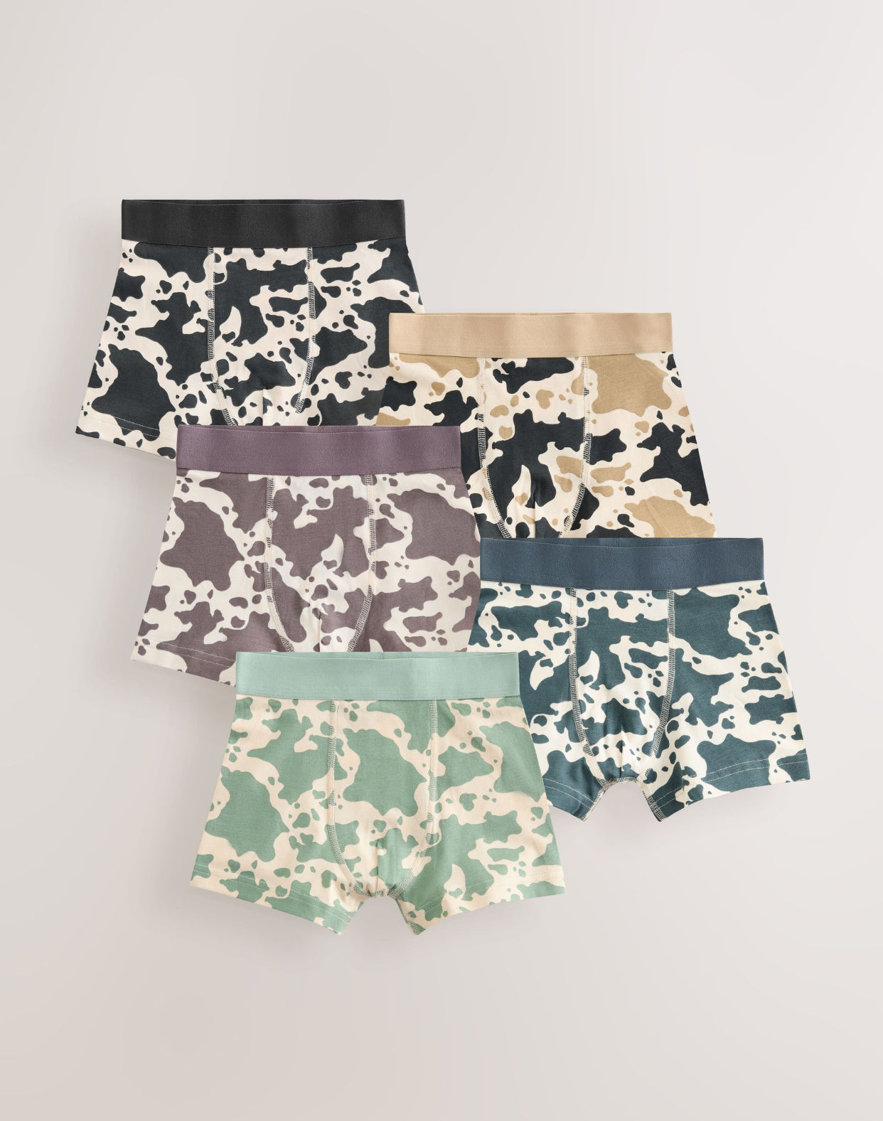 Multi Animal Junior Pattern Trunks 5 Pack