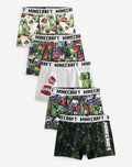 Minecraft Trunks 5 Pack