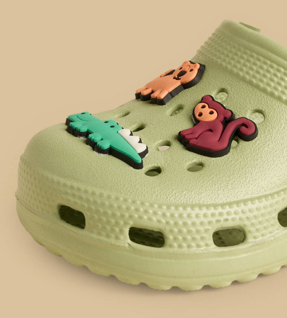 Animal  Applique Clogs with Backstrap