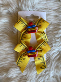 2pcs school hair clips