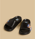Paw Patrol Slides