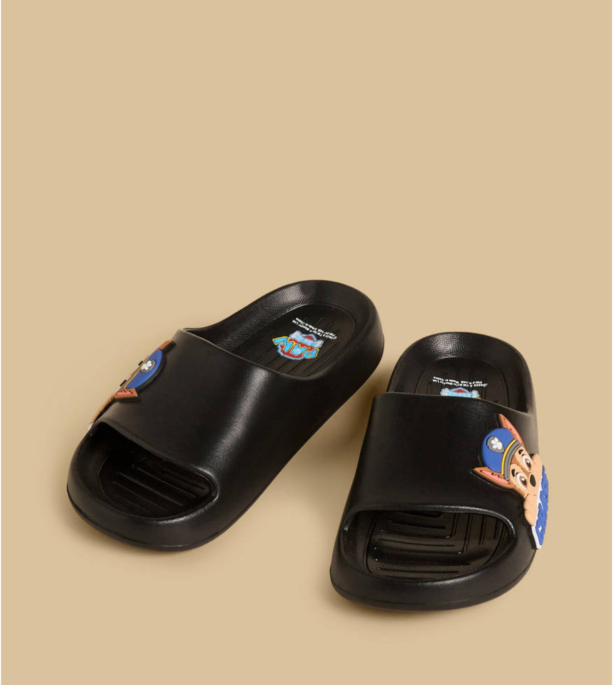 Paw Patrol Slides