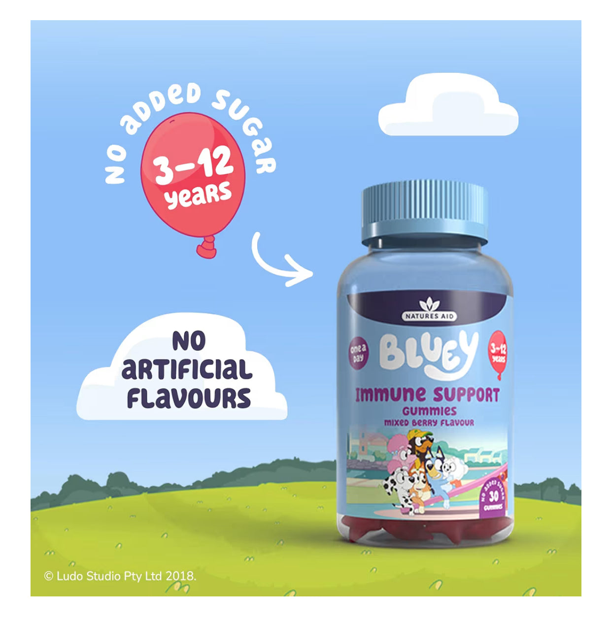Bluey Kids Immune Support Gummies