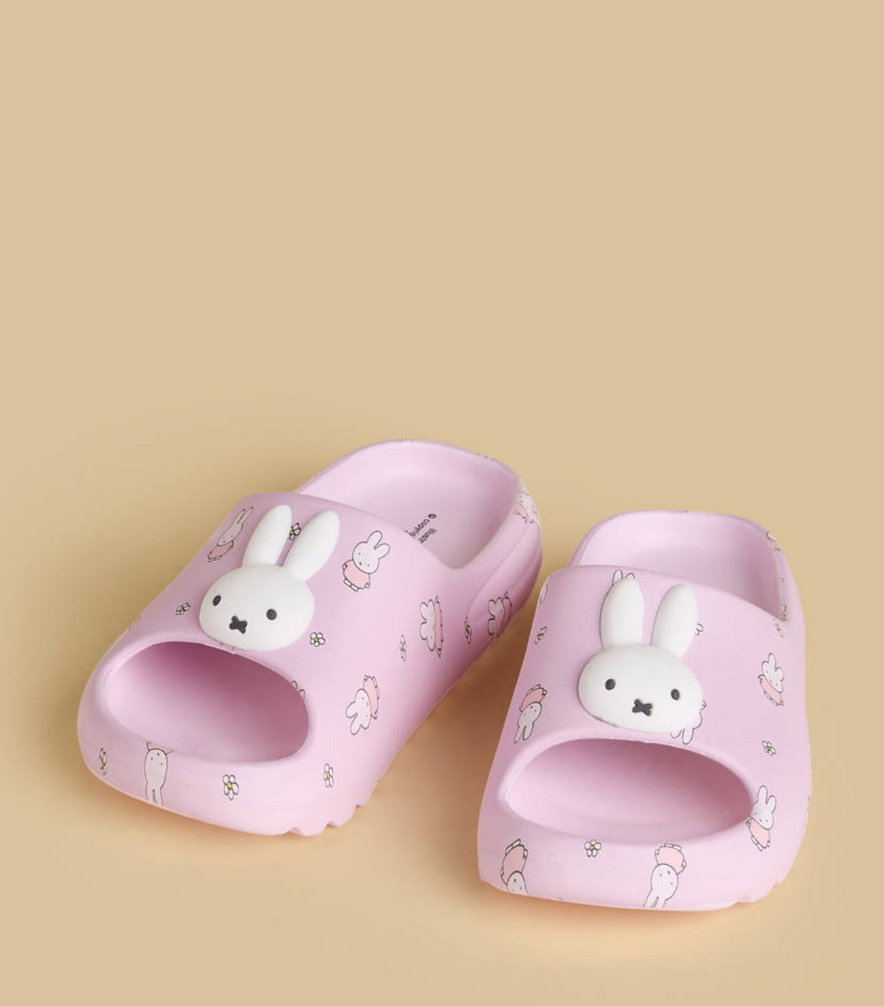 Miffy Slides