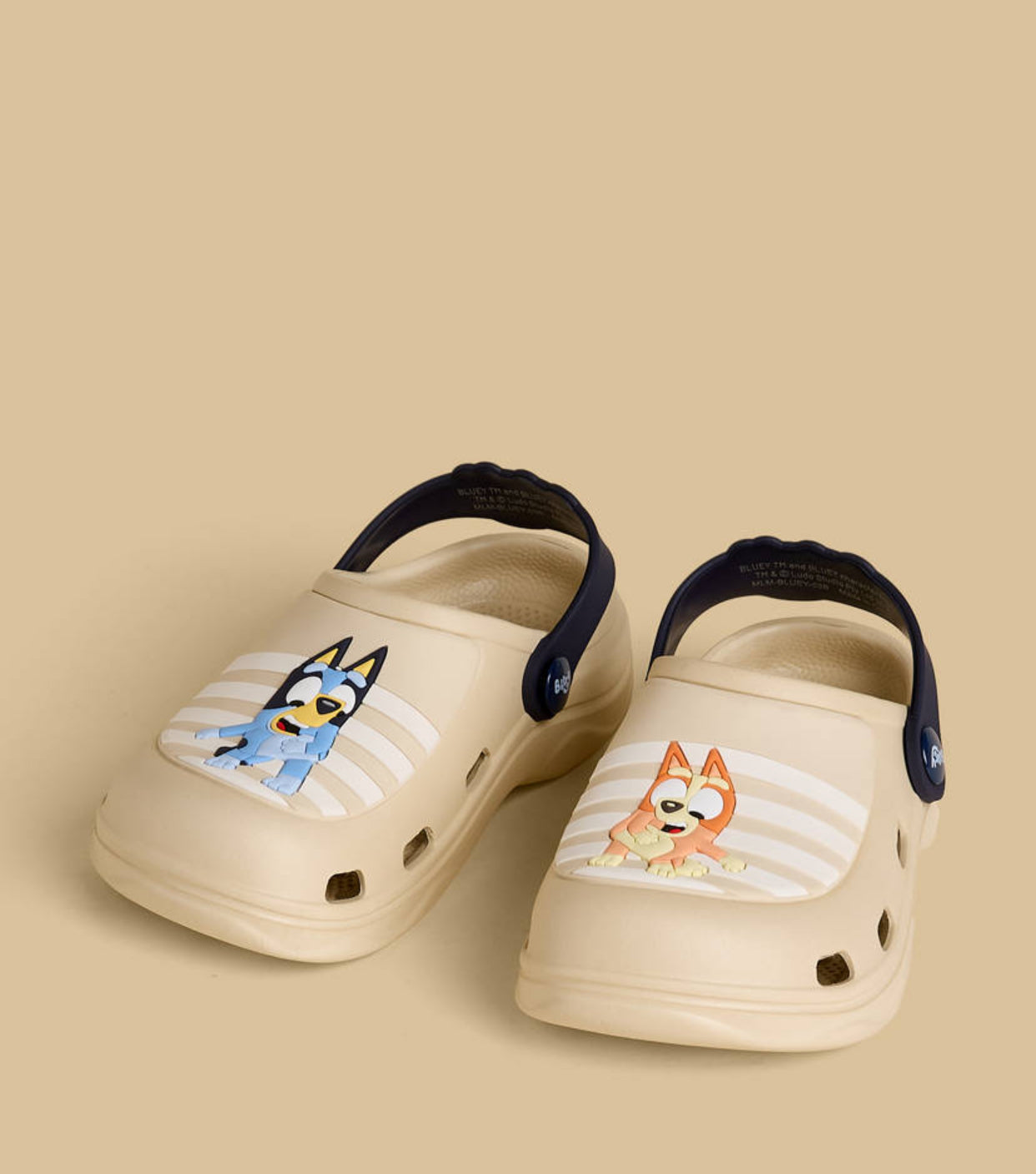 Bluey Clogs
