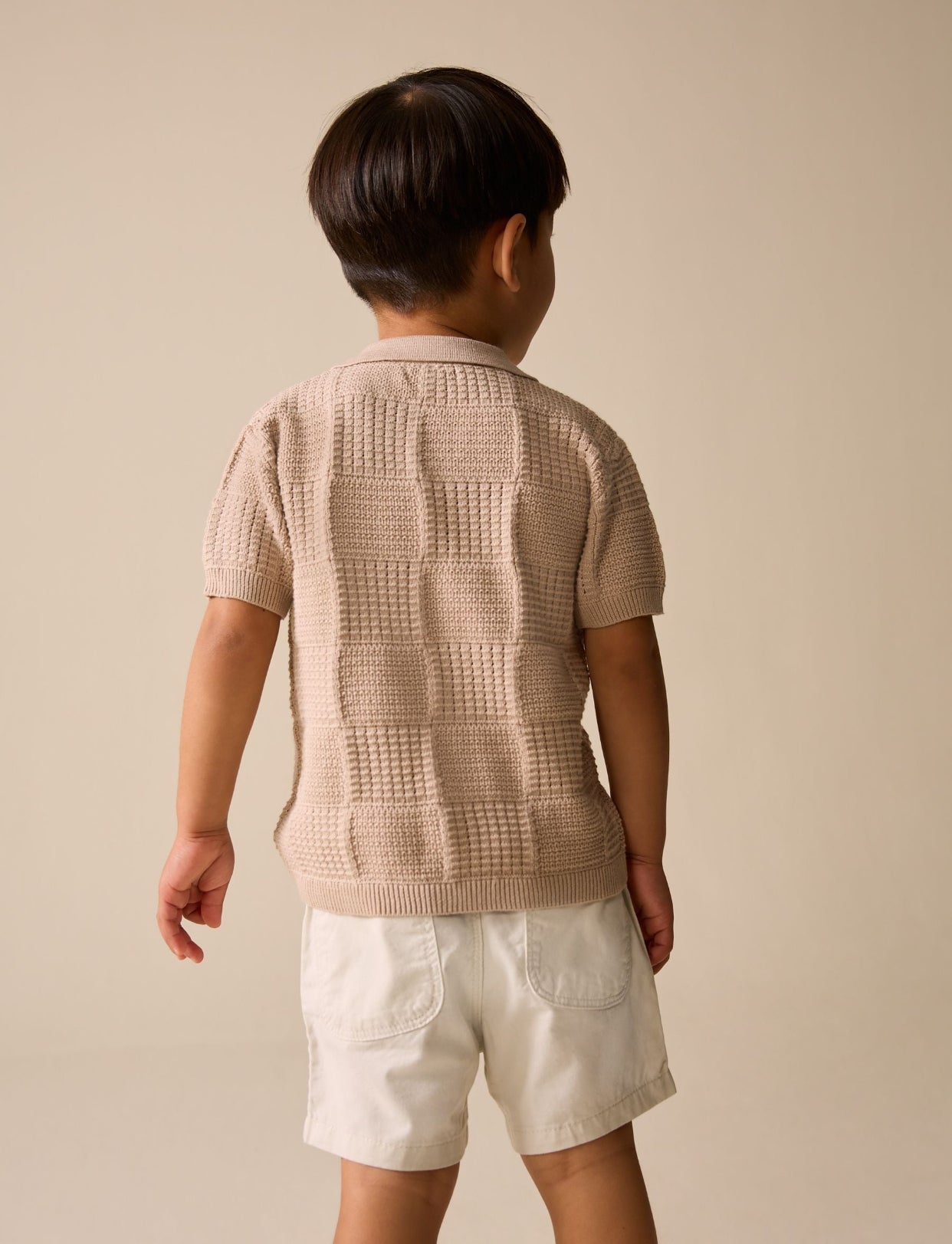 Neutral Safari Revere Collar Short Sleeve Knitted Polo Shirt