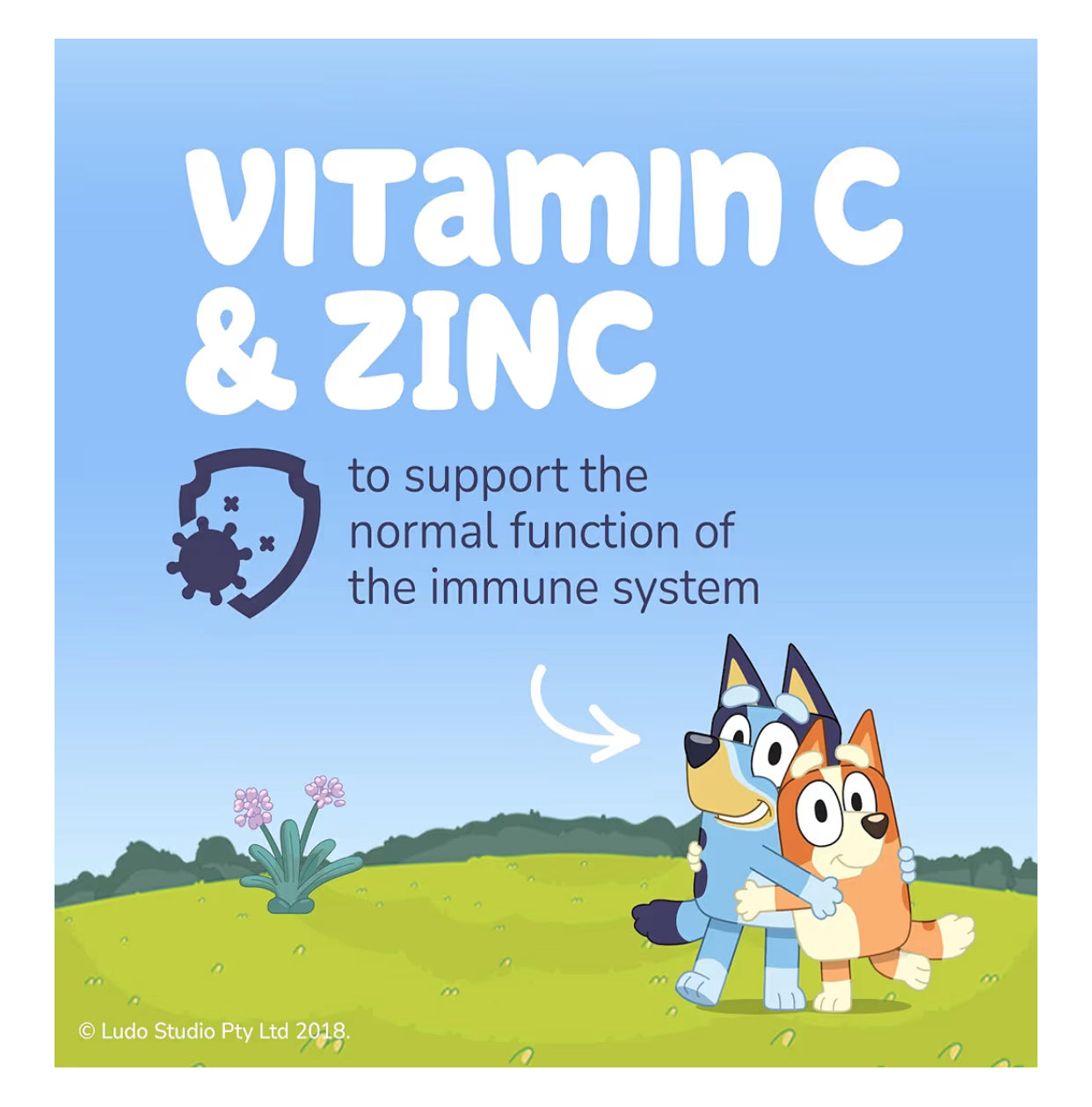 Bluey Kids Immune Support Gummies