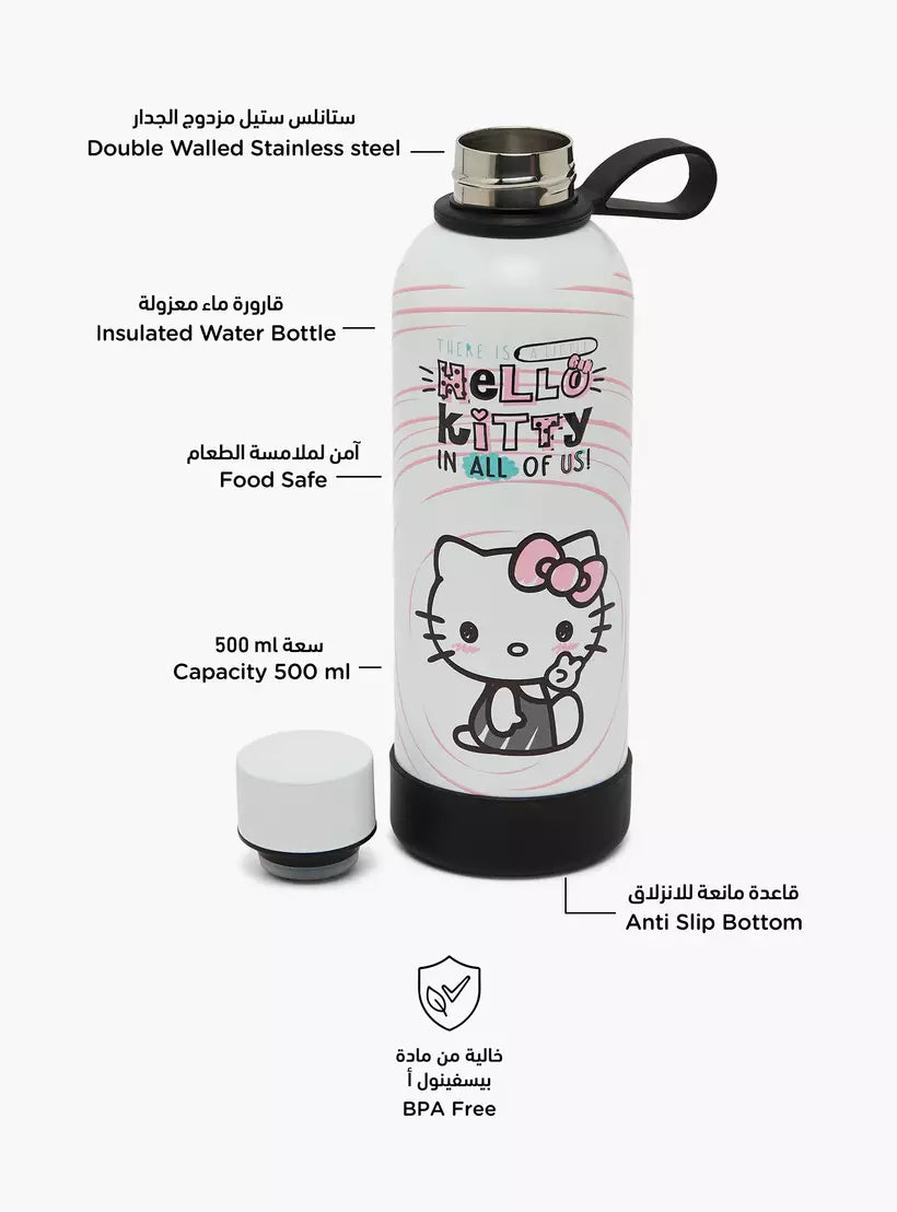 Sanrio Hello Kitty Print Stainless Steel Water Bottle with Screw Lid and Loop Handle