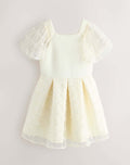 Ted baker dress