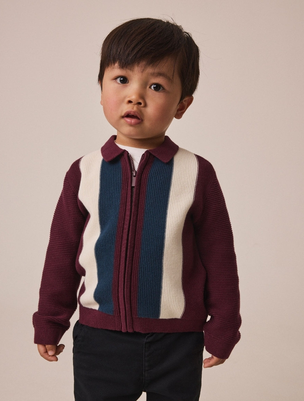 Purple/Navy Stripe Knitted Zip Up
Polo Shirt