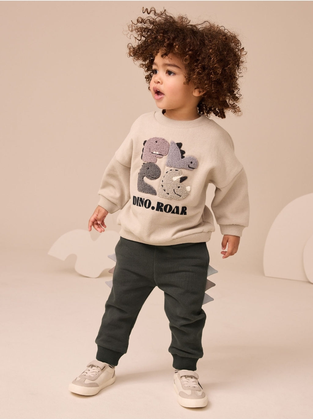 Grey and Charcoal Dinosaur Spike Single Sweatshirt and Joggers Set