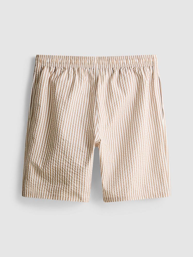 Stripe Swim Shorts