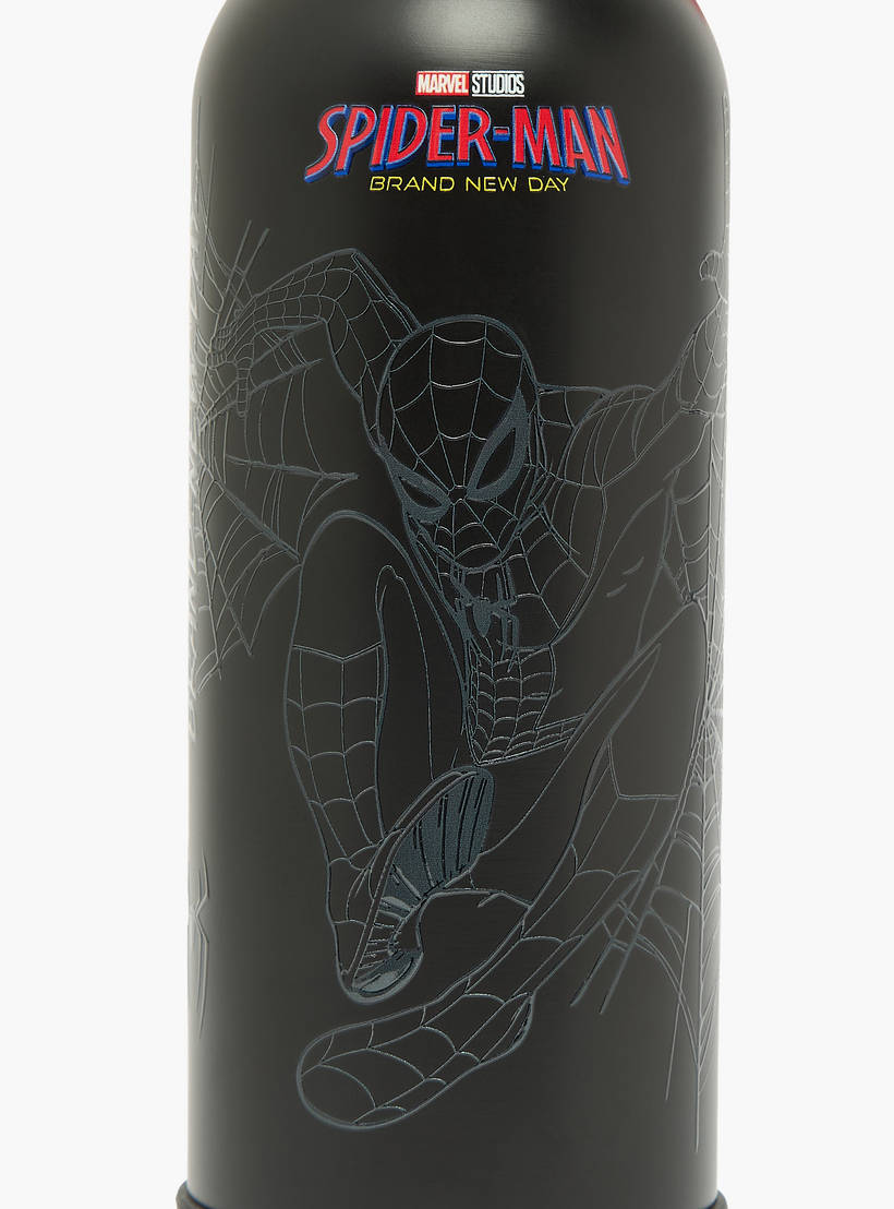 Spiderman Print Stainless Steel Water Bottle