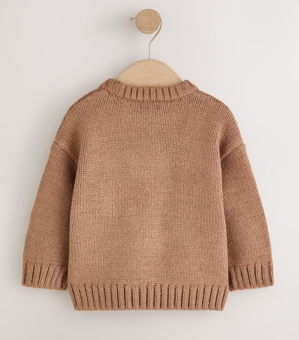 Chocolate Brown Dog Character Knitted Crew Neck Jumper