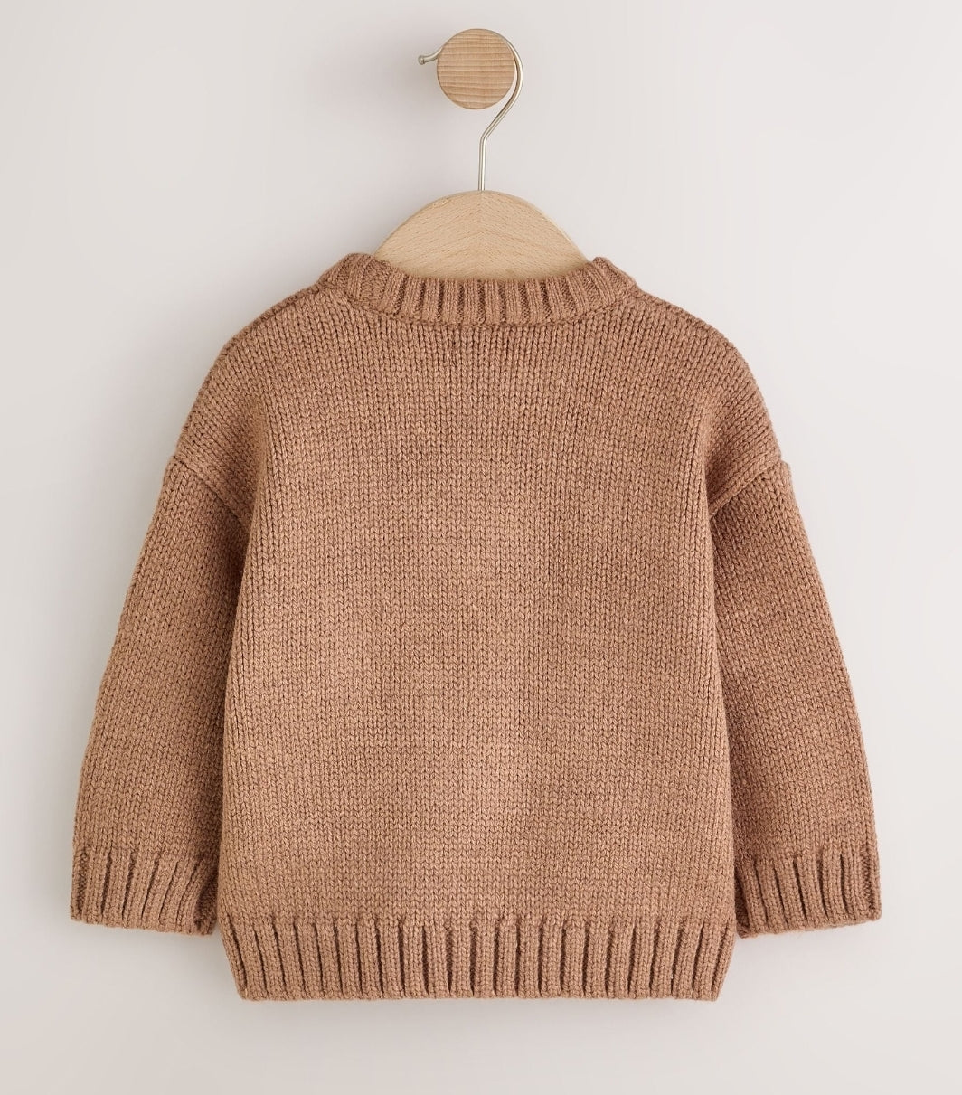 Chocolate Brown Dog Character Knitted Crew Neck Jumper