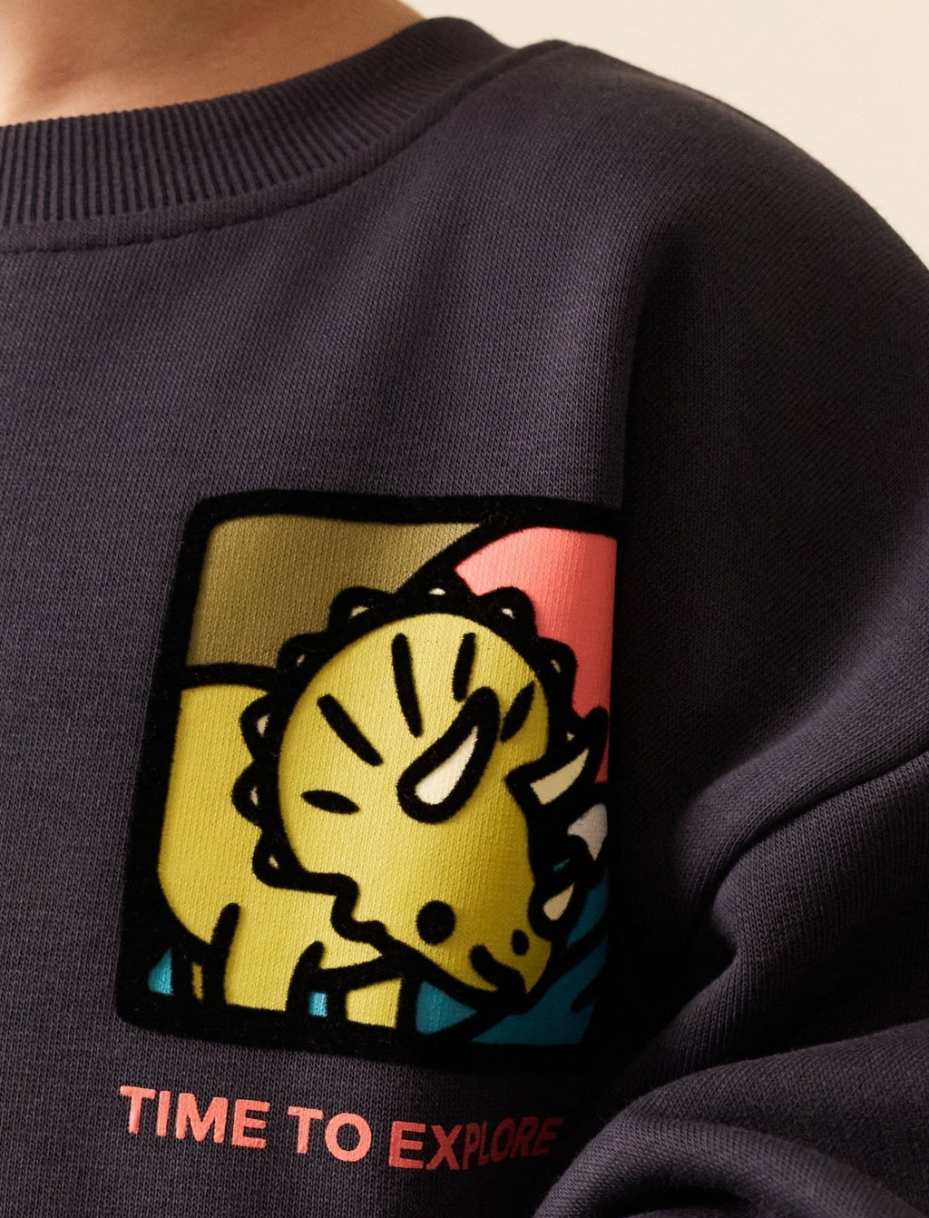 Dark Grey Dinosaur Back Printed Crew
NeckSweatTop