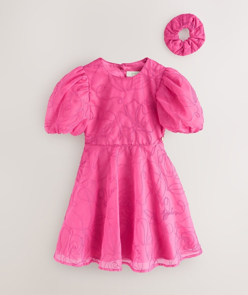 Ted baker dress