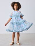 Ted baker dress