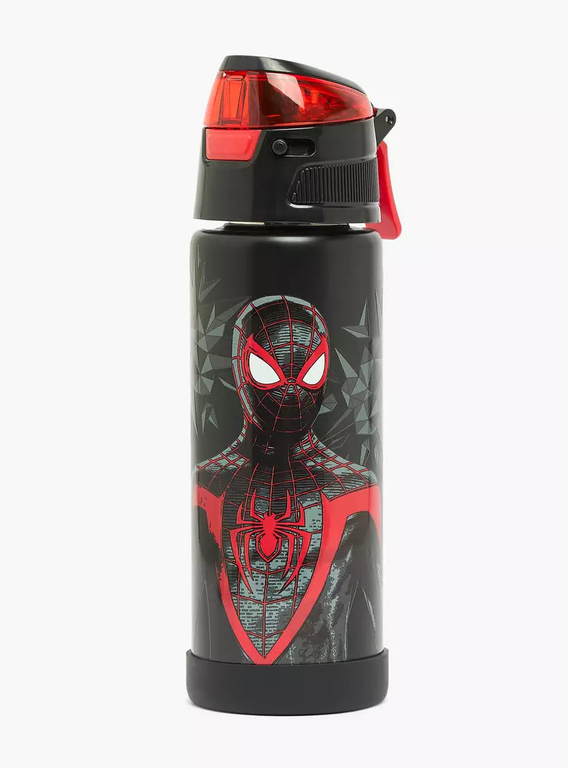 Spider-Man Print Stainless Steel Water Bottle with Spout and Carry Lid