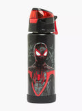 Spider-Man Print Stainless Steel Water Bottle with Spout and Carry Lid