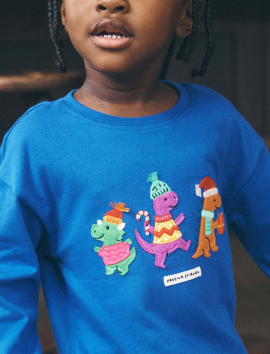 Blue Dino Christmas Pyjamas