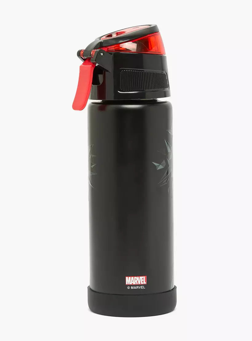Spider-Man Print Stainless Steel Water Bottle with Spout and Carry Lid