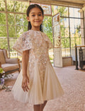 Ted baker dress