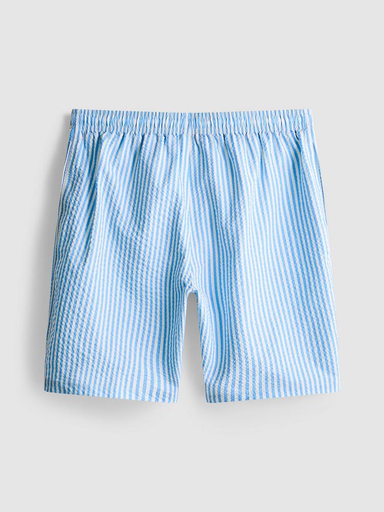 Stripe Swim Shorts