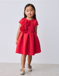 Ted baker dress