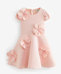 Ted baker dress