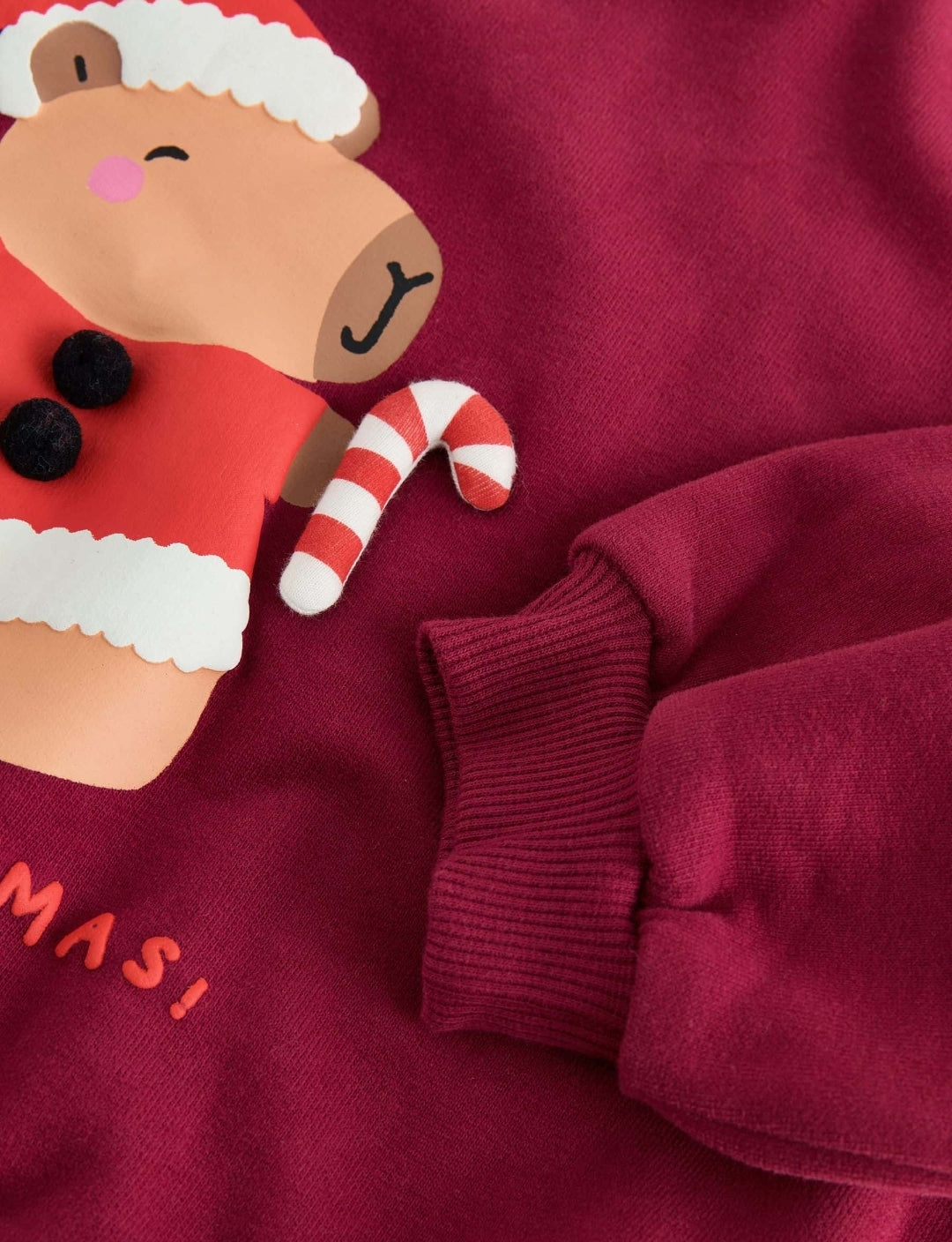 Berry Red Christmas Capybara Crew
Neck Sweatshirt