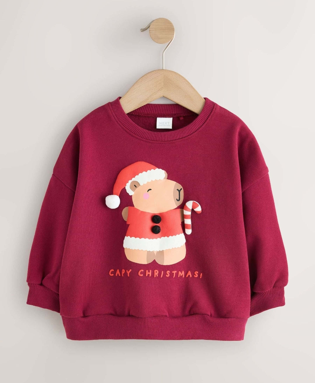 Berry Red Christmas Capybara Crew
Neck Sweatshirt