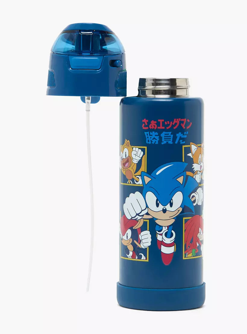 Hollywood Magic Sonic Print Stainless Steel Water Bottle with Spout and Lid