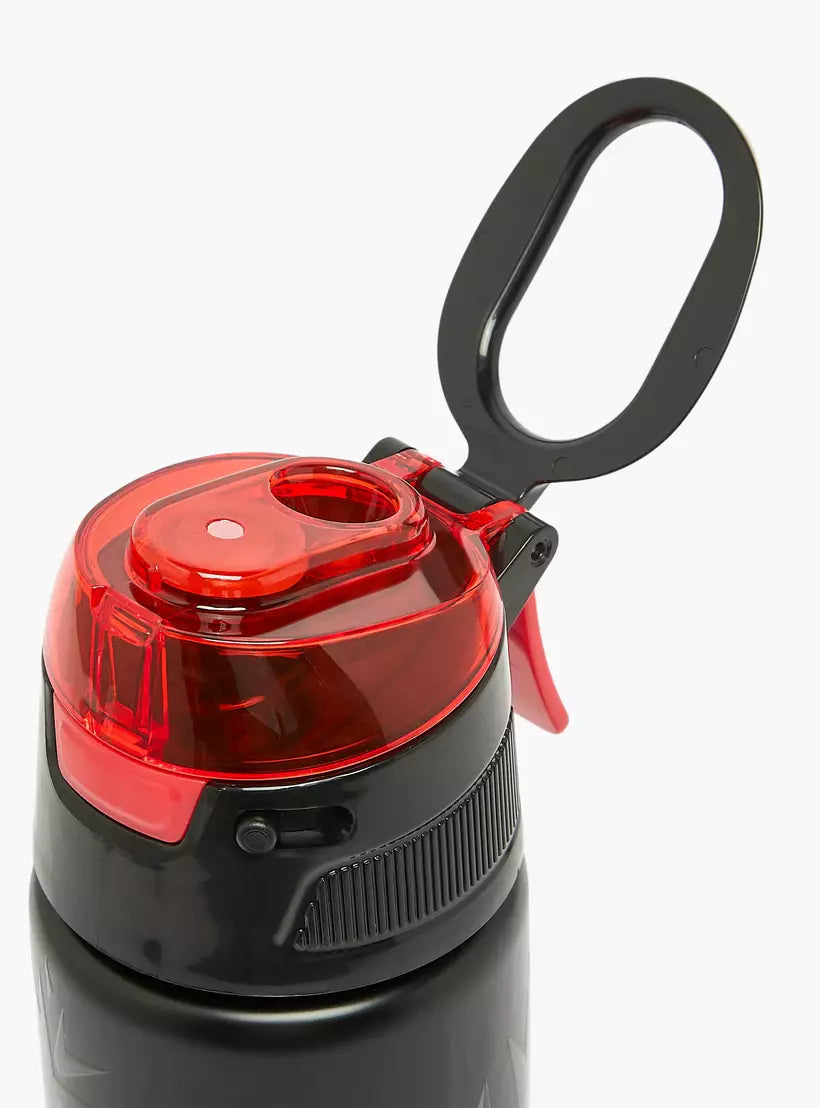 Spider-Man Print Stainless Steel Water Bottle with Spout and Carry Lid