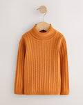 Pumpkin Roll Neck Jumper