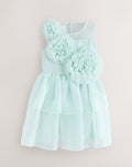 Ted baker dress