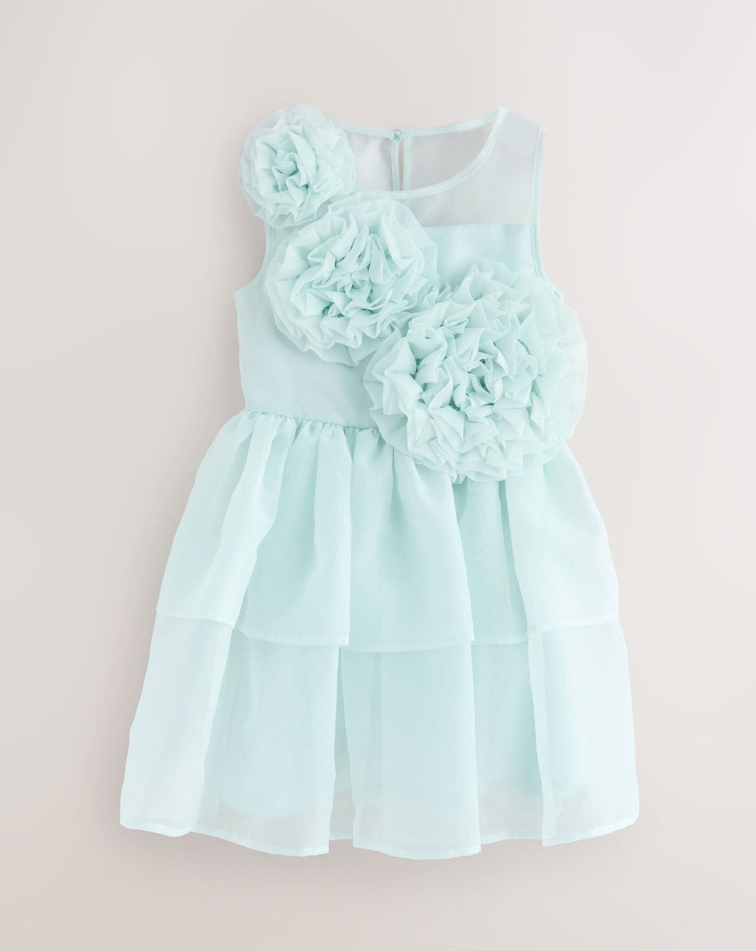 Ted baker dress