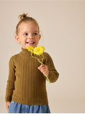 Olive Green Roll Neck Jumper