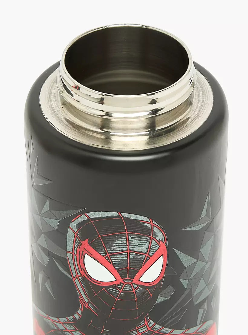 Spider-Man Print Stainless Steel Water Bottle with Spout and Carry Lid