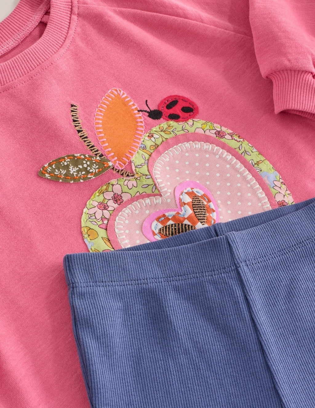 Pink Apple Long Sleeve Top and Leggings Set
